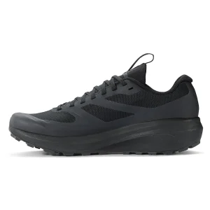 Arc’teryx – Norvan LD 3 GTX – Chaussures De Trail 12