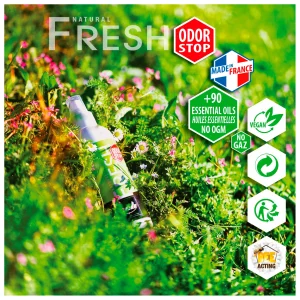 EB – Fresh 200 – Produit D’entretien Chaussures 7