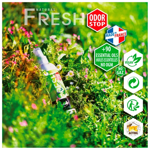 EB – Fresh 200 – Produit D’entretien Chaussures 3